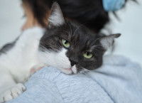 Une jeune femme porte son chat sur son épaule