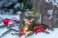 Une bougie de Noël et des branches d'if dans la neige