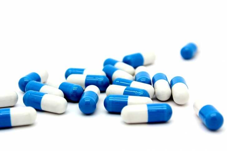 Diarrhee Du Chat Causes Et Traitement Des Diarrhees
