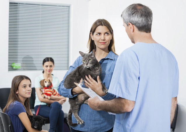 Une jeune femme porte son chat dans ses bras chez le vétérinaire
