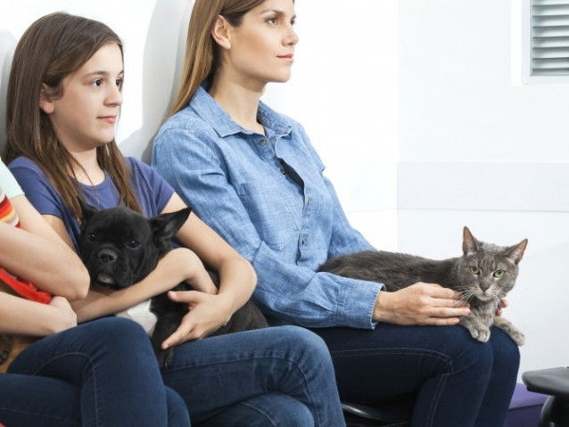 Une maitresse et son chat attendant leur tour pour voir le vétérinaire