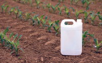 Un flacon d'insecticide posé dans un champ cultivé