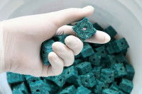 Un homme avec des gants tient des cubes de mort-au-rat