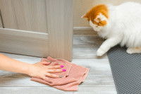 Une femme nettoie un pipi de chat avec de la javel et un chiffon