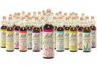 Des flacons de fleurs de Bach