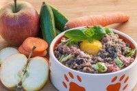 Nourriture maison pour chat : viande, fruits et légumes