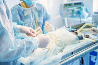 Un vétérinaire en train d'opérer un chat sous anesthésie