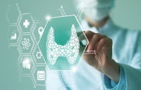 Une femme médecin montre une visualisation de la thyroïde