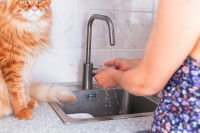 Un chat tigré roux assis à côté d'un évier