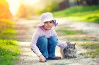 Une jeune fillette caresse un chat sur la route