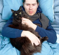 Un maitre réconforte son chat noir