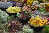 Des herbes et fleurs séchées présentées dans des pots