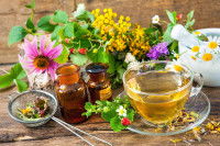 Des plantes et ingrédients issus de la naturopathie
