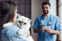 Une femme emmène son chat chez un vétérinaire