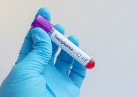 Peut-on savoir si un chat est immunisé contre la toxoplasmose ?