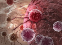 Gros plan sur des cellules cancéreuses