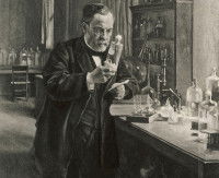 Louis Pasteur examine le résultat d'une expérience dans son laboratoire