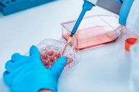 Un scientifique en train de travailler sur une culture de cellules