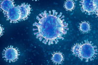 Illustration d'un virus