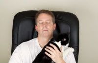 Les effets thérapeutiques du chat