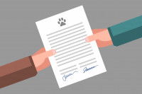 Schéma d'un contrat d'abandon de chat