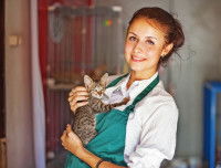 Une femme dans une association prend soin d'un chaton abandonné