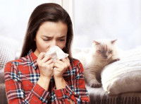 Une maitresse en train de se moucher à cause son allergie aux chats