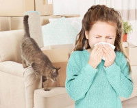 Une fillette allergique à son chat