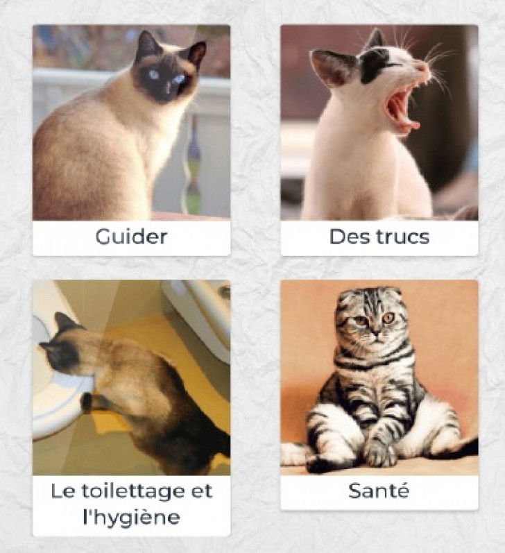 Une capture d'écran de l'application Dressage de chat montrant différents apprentissages pour un chat