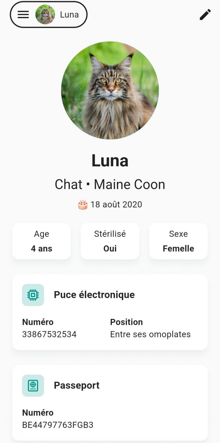 Une capture d'écran de l'application Medika montrant différentes informations concernant un chat