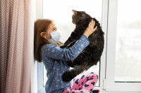 Une maitresse tenant un gros chat à poil long