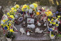 Une sépulture pour chat très décorée