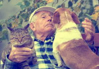 Un chien ou un chat pour un senior ?