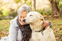 Un chien ou un chat pour un senior cocooning