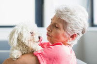 Les types de chiens adaptés aux seniors