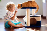 Un enfant jouant avec son chat roux tigré