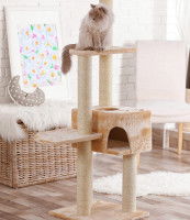 Un chat au pelage clair perché sur son arbre à chat