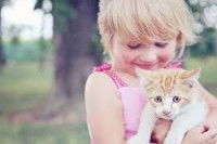 La relation entre le jeune enfant et le chat