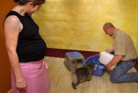 Les risques de la cohabitation entre un chat et un bébé