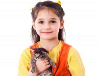 Quel chat choisir ?