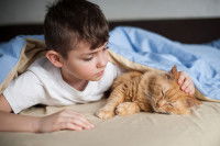 Un enfant allongé sur un lit et caressant la tête d'un chat