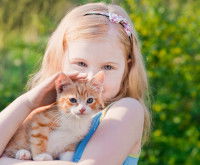 Une petite fille portant un chaton dans ses bras