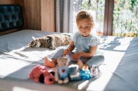Un chat dormant à côté d'un enfant qui joue avec ses jouets