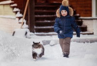 Un enfant marchant après un chat dans la neige