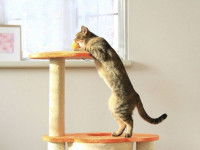 Aménager l'intérieur pour satisfaire ses besoins