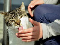 Décoder correctement son comportement