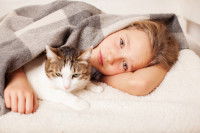 Un chat et un jeune garçon malades dans un lit