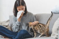 Une femme allergique éternue quand son chat approche