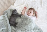 Un chat dort à côté d'un bébé