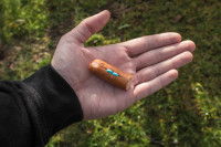 Une personne tenant dans sa main une petite saucisse avec des pilules bleues fourrées dedans